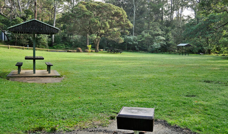 A wide grassy area with picnic table at Cottonwood Glen picnic area, Lane Cove National Park. Photo: Kevin McGrath &copy; OEH