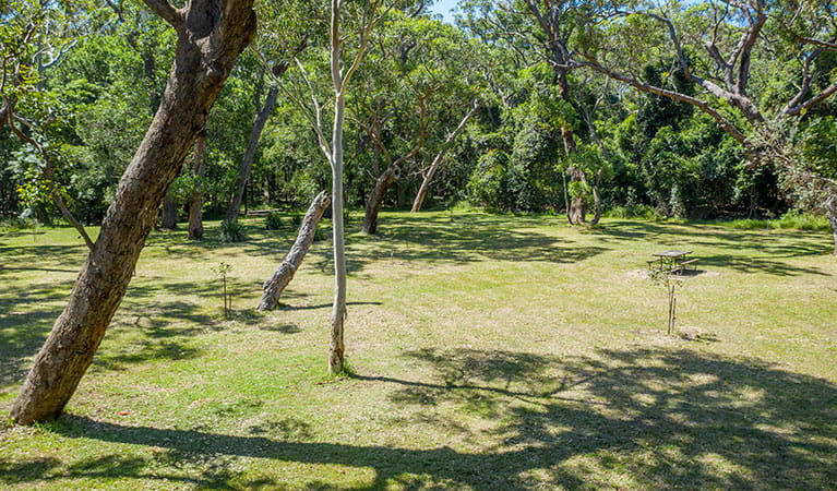 The grassy picnic area behind Seven Mile Beach in Seven Mile Beach National Park. Photo: John Spencer &copy; DPIE