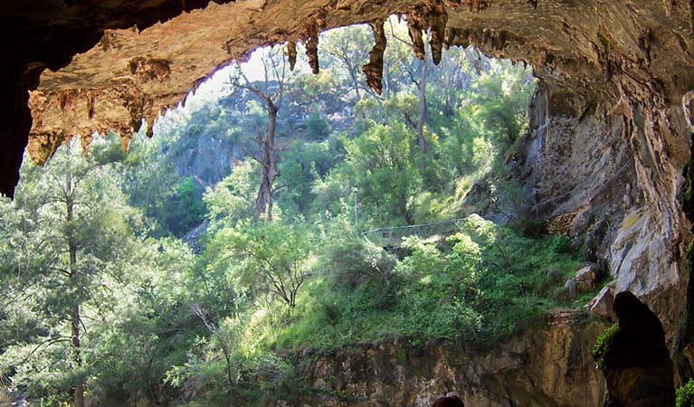 North Arch, Abercrombie Karst Conservation Reserve. Photo: OEH