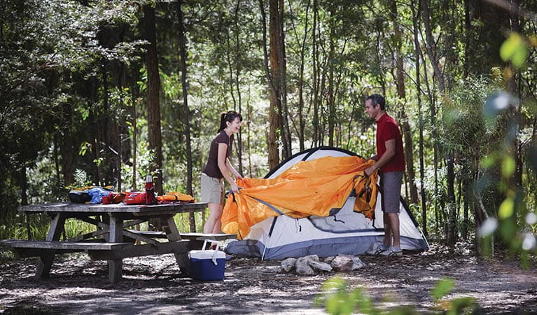 Setting a tent in Back Rock campground, Bald Rock National Park. Photo: Paul Foley