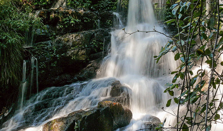 Bangalore Falls, Biamanga National Park. Photo: Helen Clark