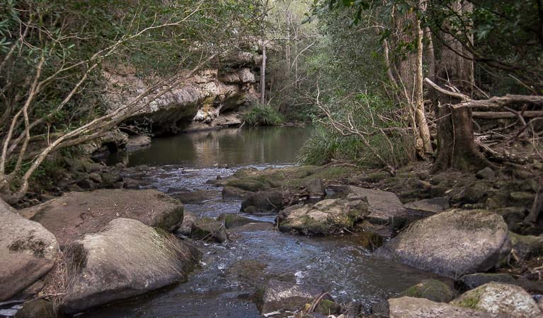 Bomaderry Creek, Bomaderry Creek Regional Park. Photo: OEH
