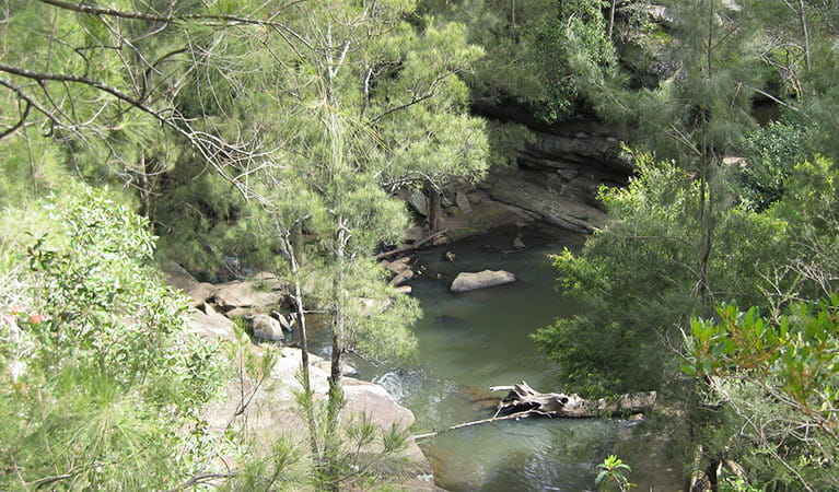 Bomaderry Creek Regional Park. Photo: OEH