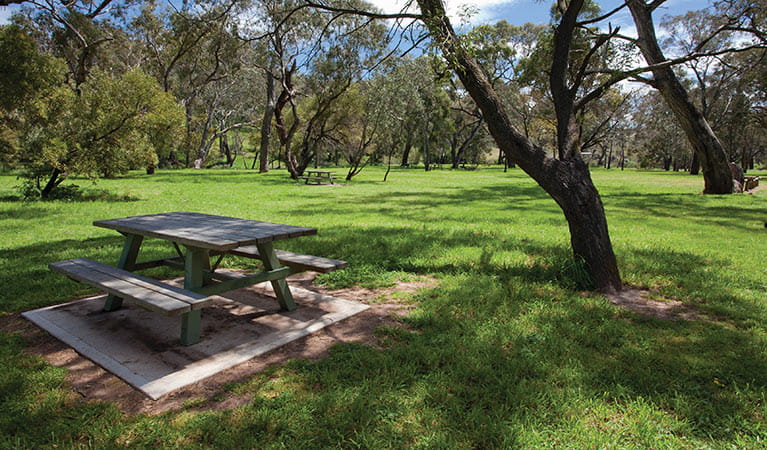 Picnic area, Borenore Karst Conservation Reserve. Photo: OEH