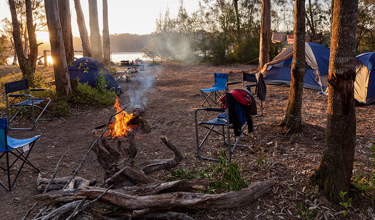 Camping in Red Gum campground, Clyde River National Park. Photo: Lucas Boyd