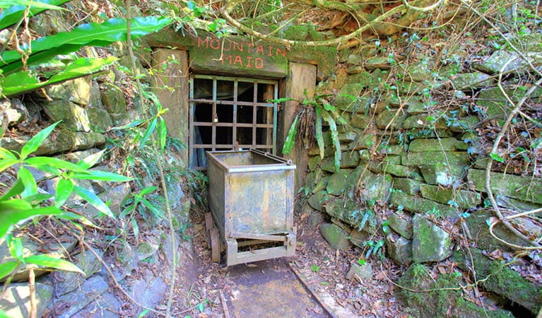 Abandoned gold mine relics, Copeland Tops State Conservation Area. Photo: Brent Mail