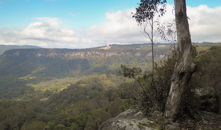 View of Macquarie Pass National Park. Photo: T Moody