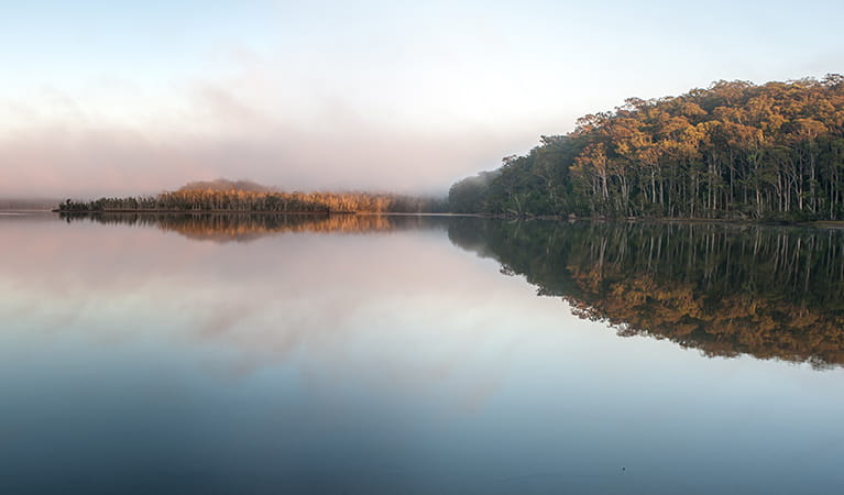 Meroo Lake, Meroo Lake National Park. Photo: Michael van Ewijk