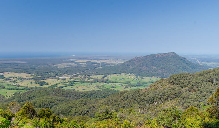 View of Middle Brother National Park. Photo: John Spencer