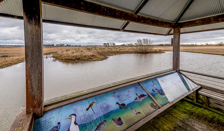 Bird watching platform, Mother of Ducks Lagoon Nature Reserve. Photo: John Spencer