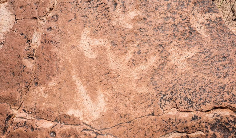 Aboriginal rock engravings in Paroo Darling National Park. Photo: John Spencer