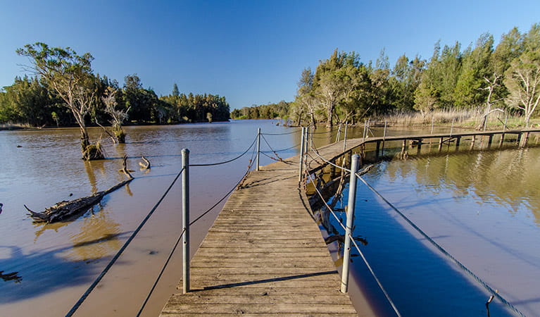 Wetlands boardwalk, Longneck Lagoon walking track, Scheyville National Park. Photo: John Spencer