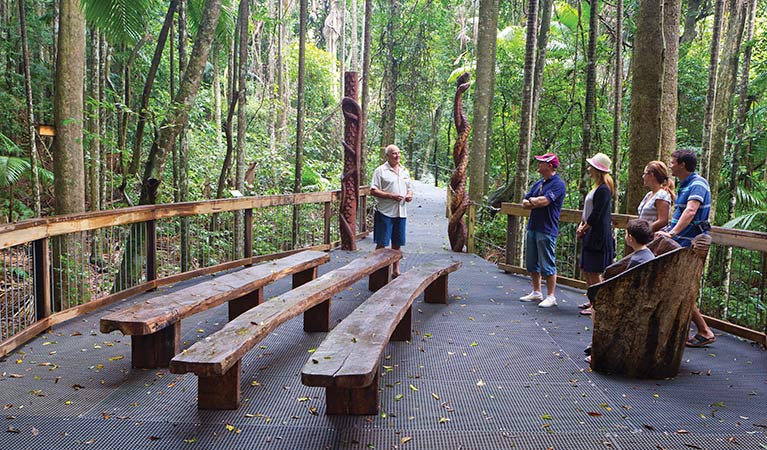 Rainforest boardwalk, Sea Acres National Park. Photo: Rob Cleary