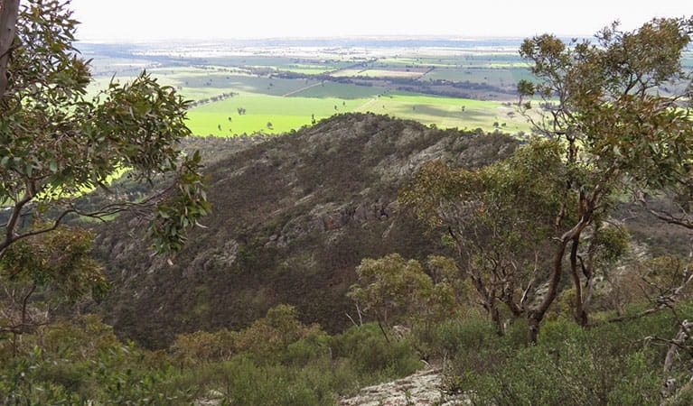 The Rock lookout, The Rock Nature Reserve. Photo: A Lavender 