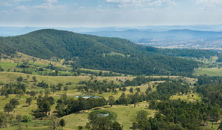 The mountains of Tooloom National Park. Photo: David Young