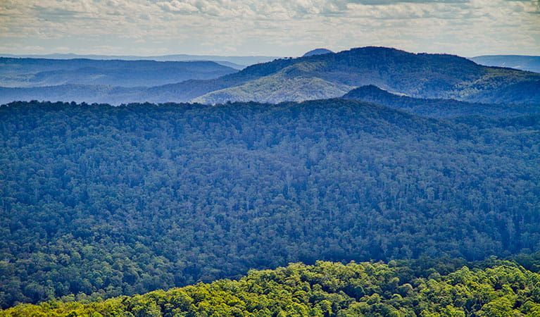 Mountains of Toonumbah National Park. Photo: Robert Ashdown