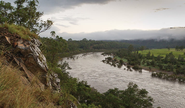 Mann River, Washpool National Park. Photo: Rob Cleary