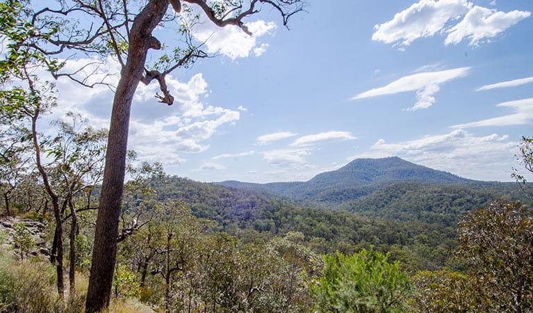 View of Mount Yengo , Mount Yengo loop trail, Yengo National Park. Photo: John Spencer