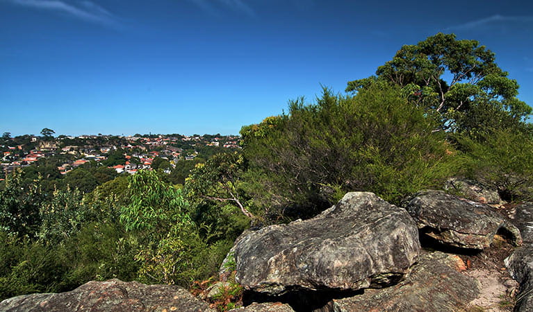 Rocky lookout over the park to the suburbs, Wolli Creek Regional Park. Photo: John Spencer