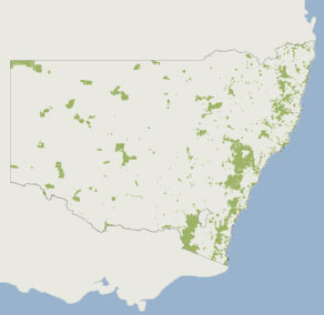 Teacher resource rainforests NSW stage 5 geography