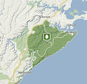Tailored tours of Royal National Park