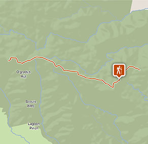 Link Trail - Gloucester Tops to Careys Peak