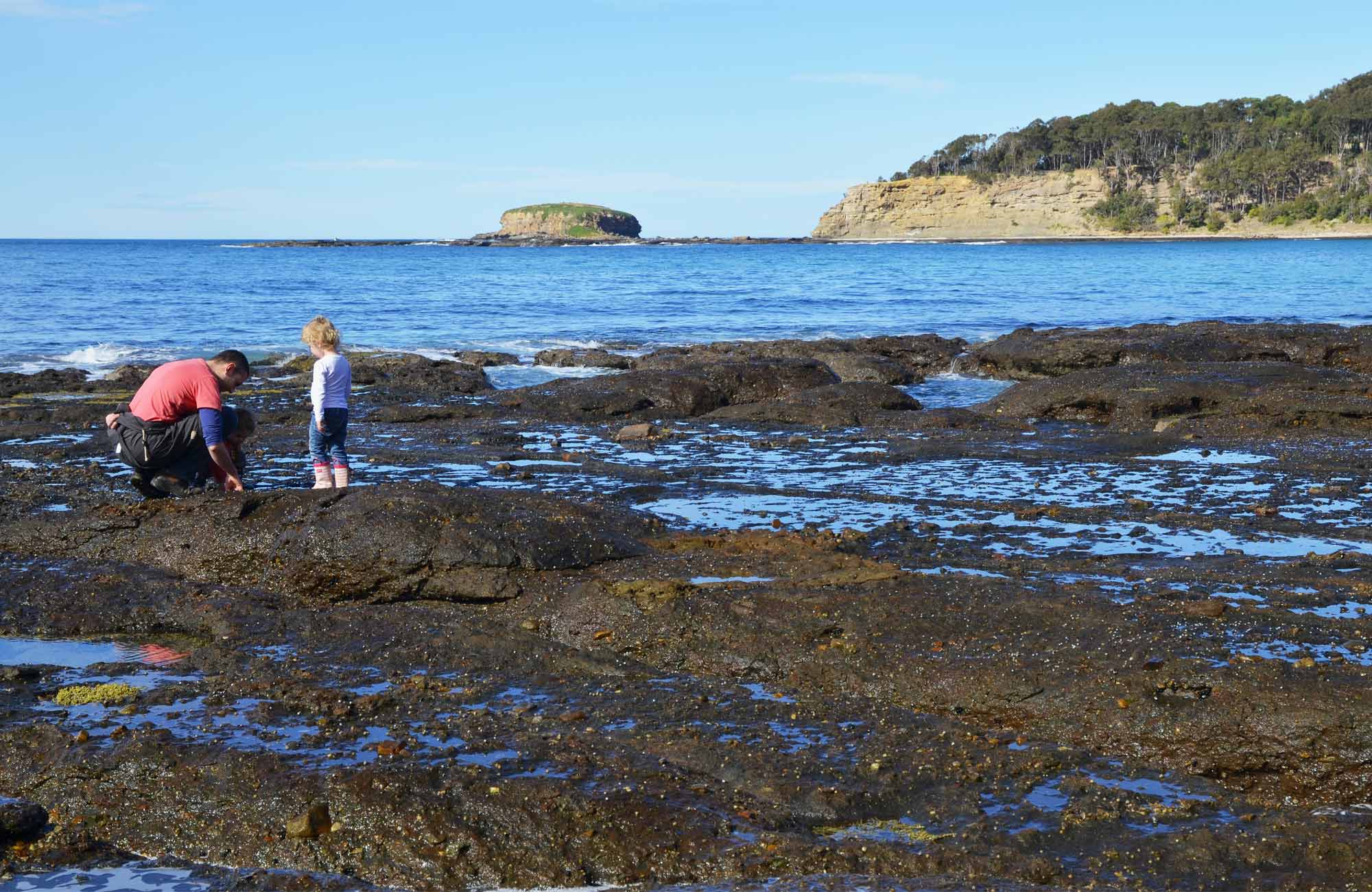 Rock Platform walk Depot Beach NSW National Parks