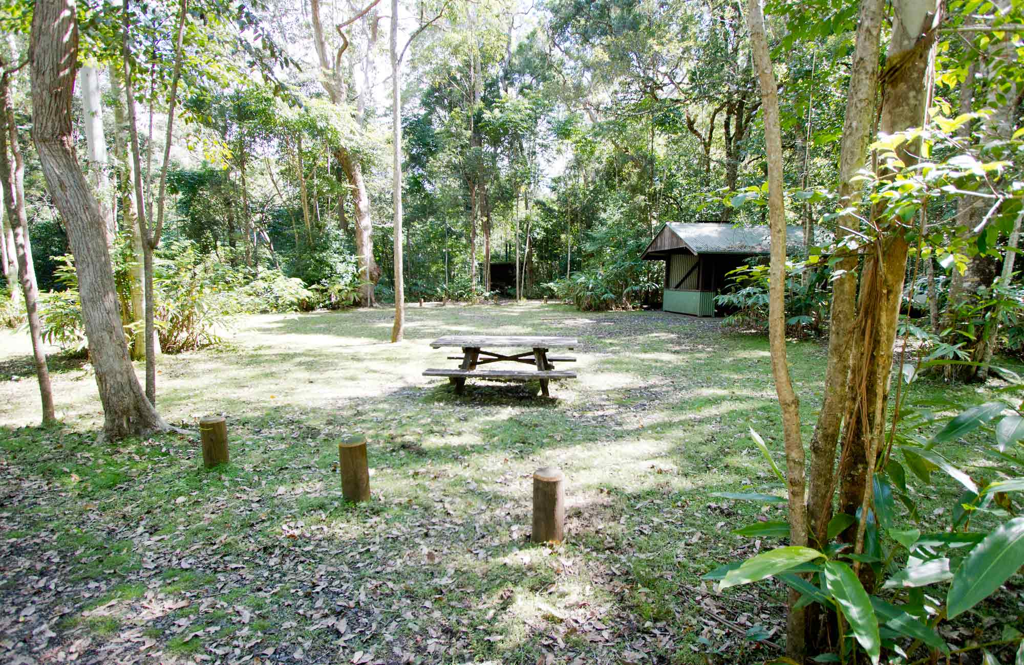 Iron Pot Creek campground NSW National Parks