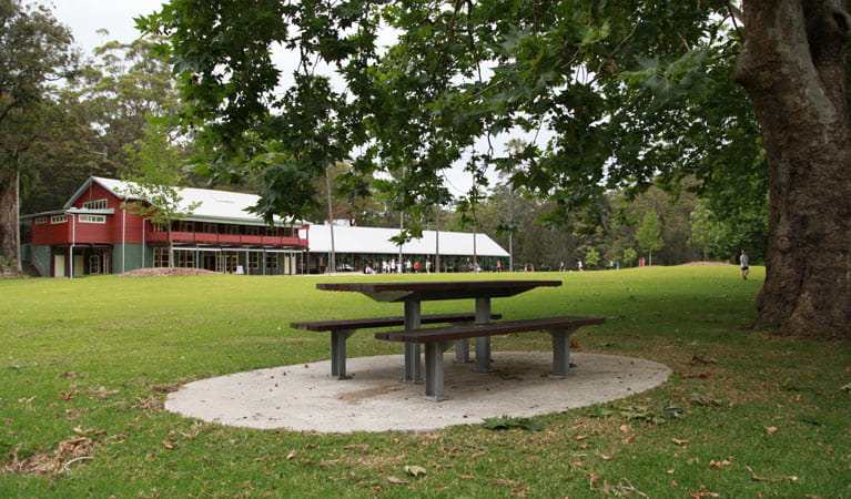 Ironbark Flat picnic area | NSW National Parks