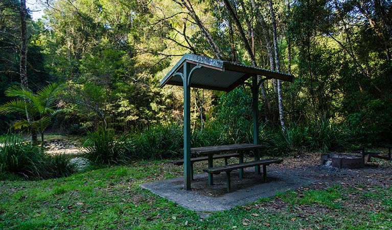 Wilson River picnic area | NSW National Parks