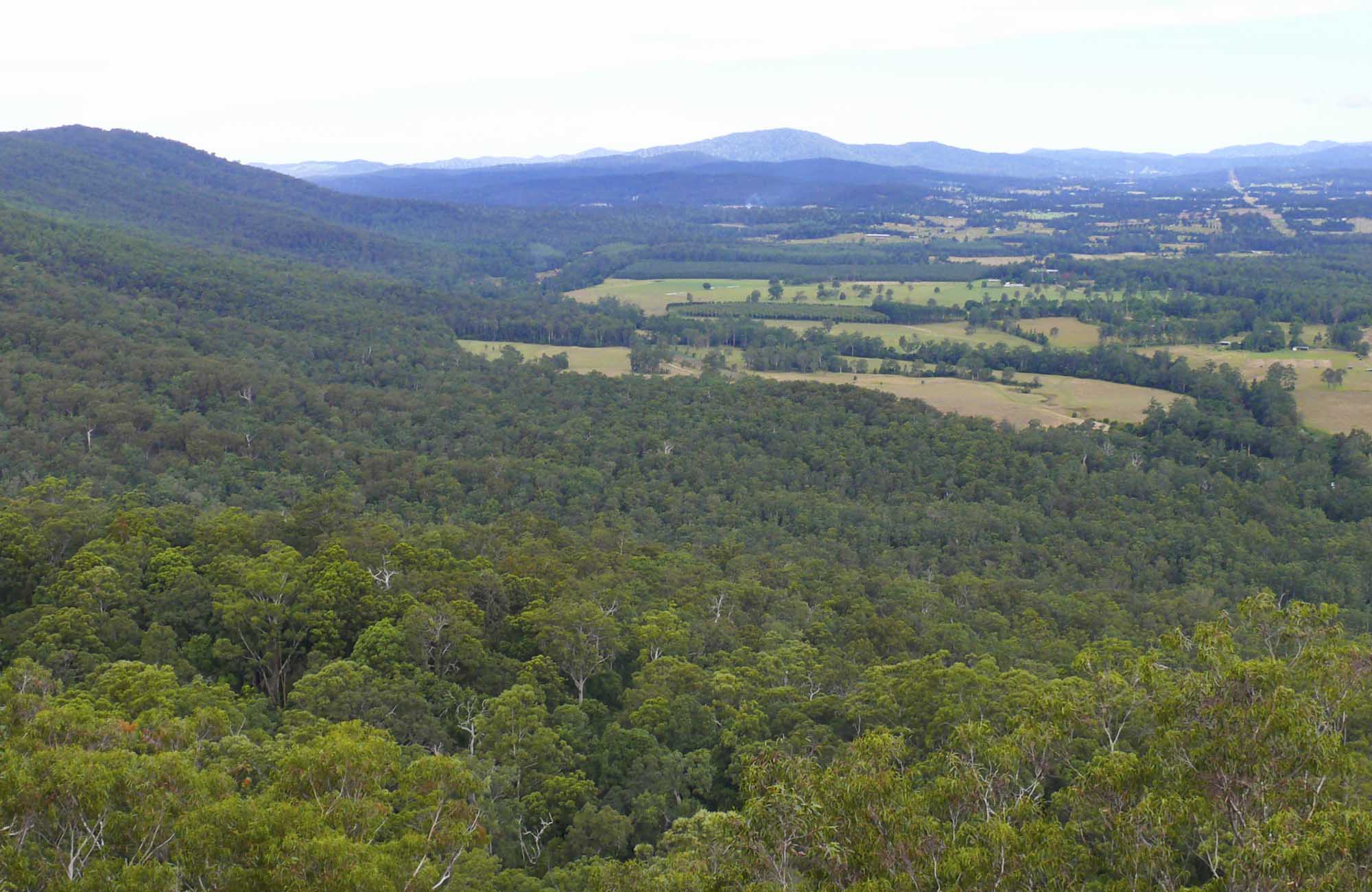 Sherwood Forest Camping >> Sherwood Forest drive | NSW National Parks Sherwood Forest Camping >> Sherwood Forest drive | NSW National Parks