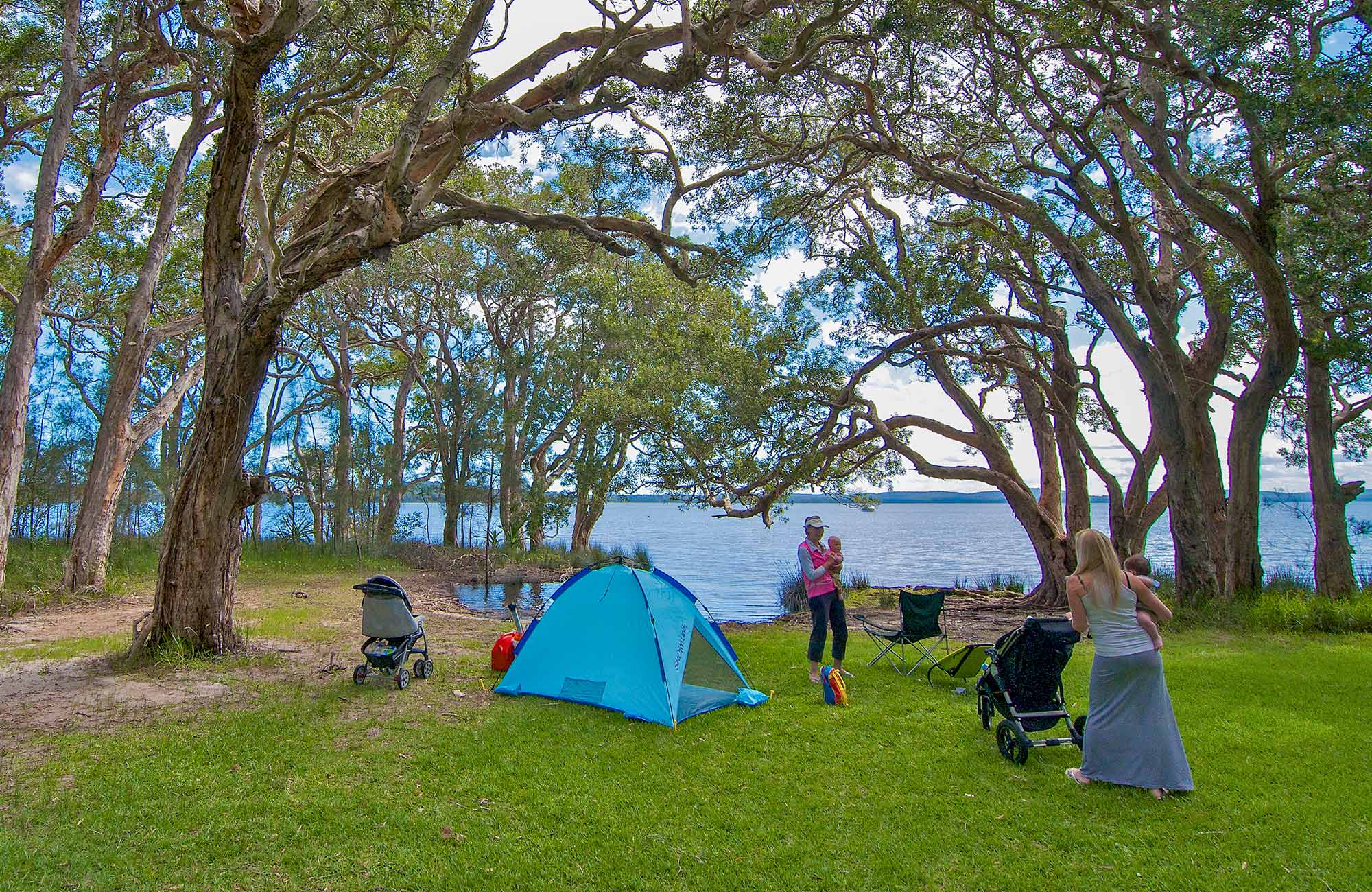 White Tree Bay campground and picnic area NSW National Parks