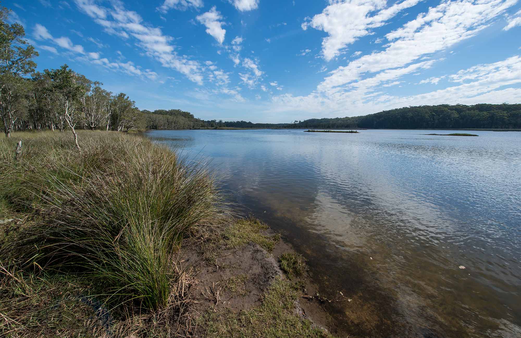 Lake Innes Nature Reserve Learn more NSW National Parks