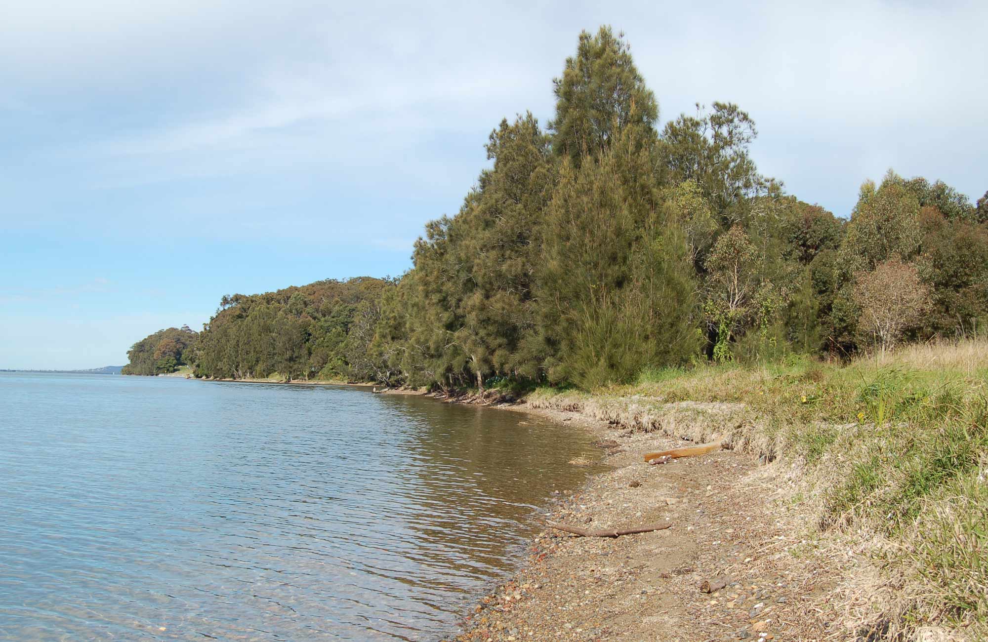 Lake Macquarie State Conservation Area NSW National Parks
