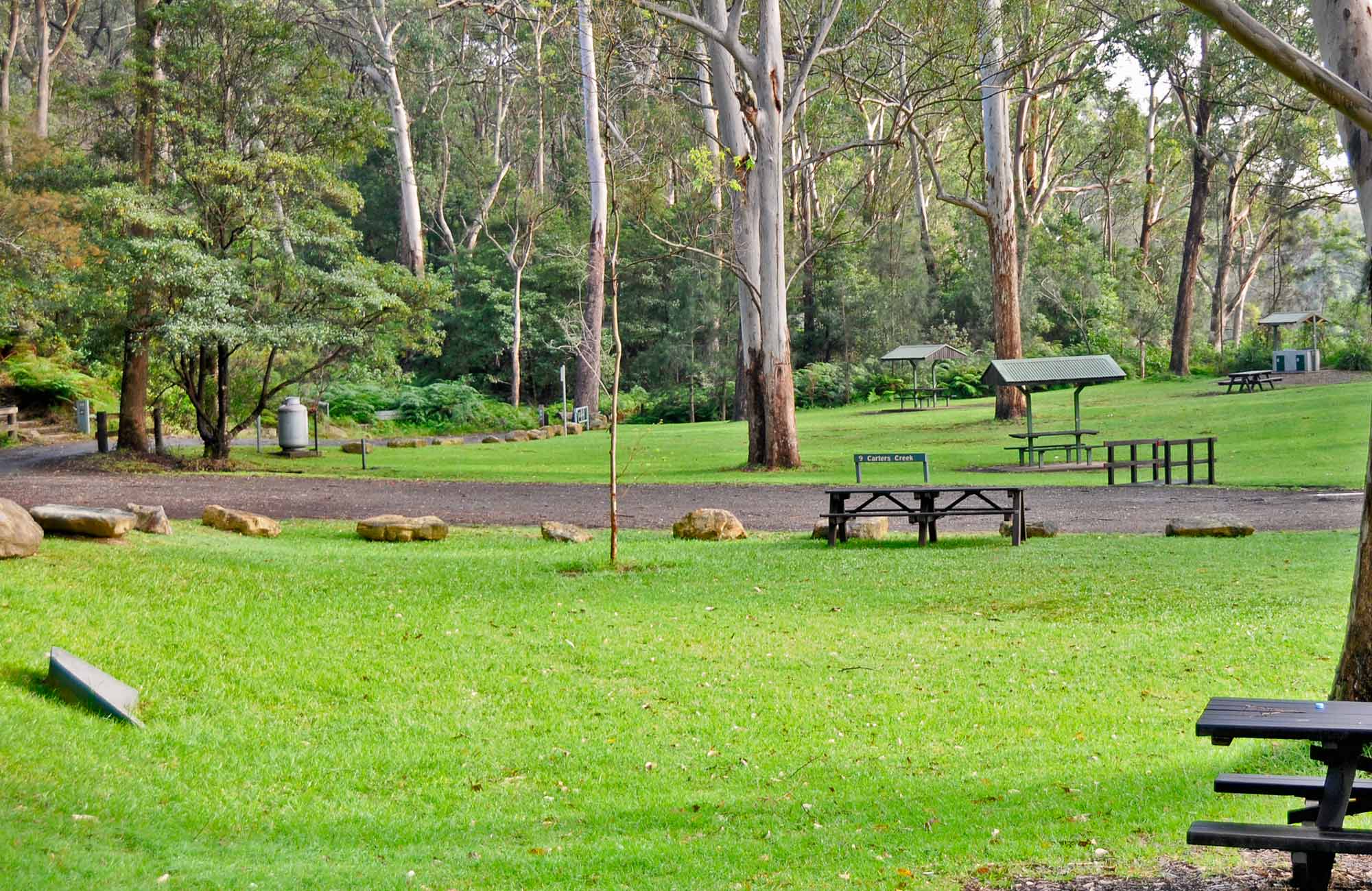 Lane Cove National Park picnic booing enquiry NSW National Parks