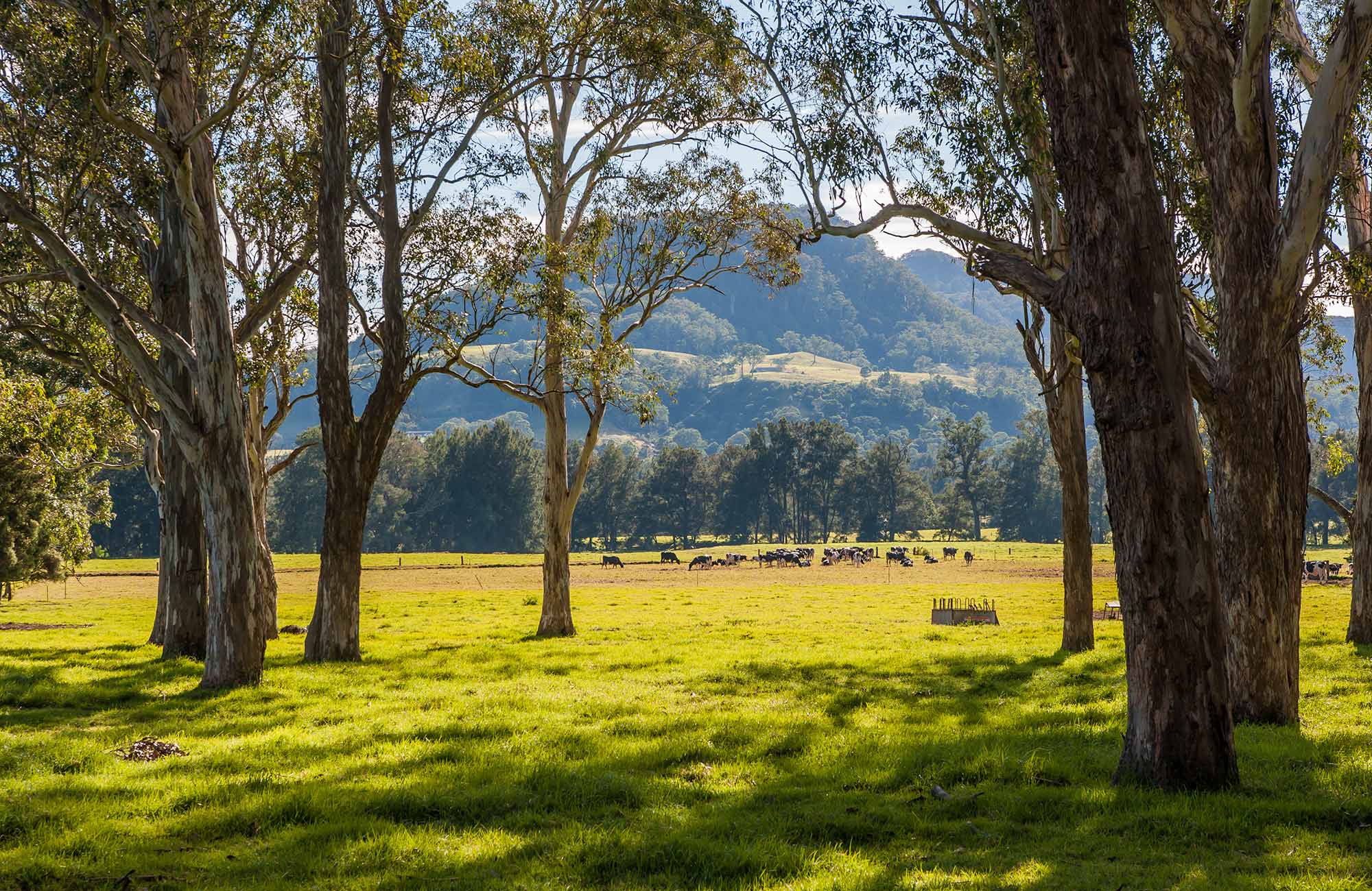 coast to highlands via kangaroo valley hero