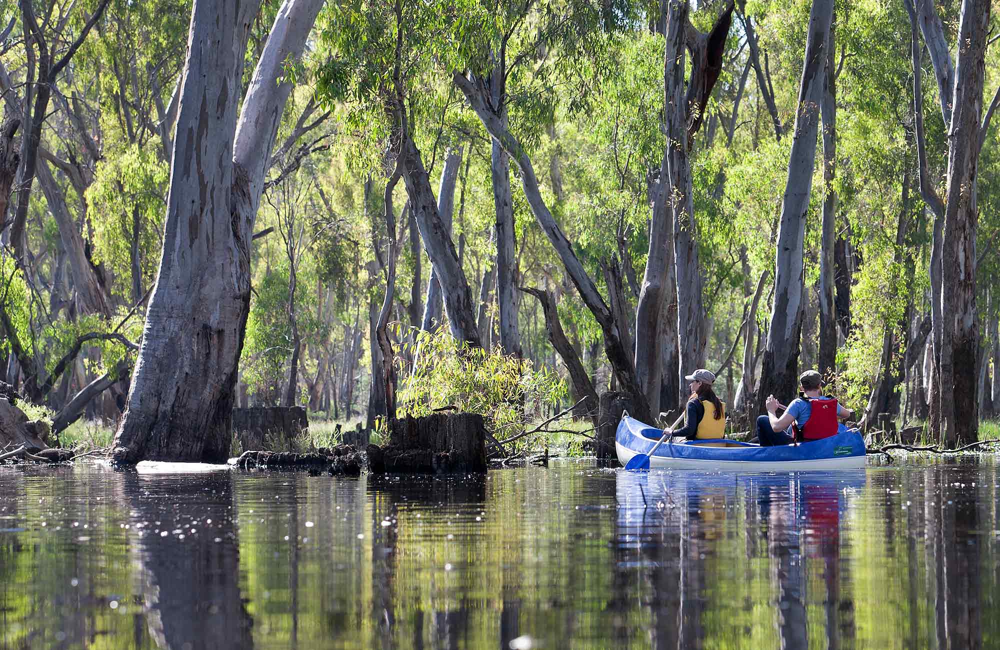 Edward River canoe and kayak trail NSW National Parks