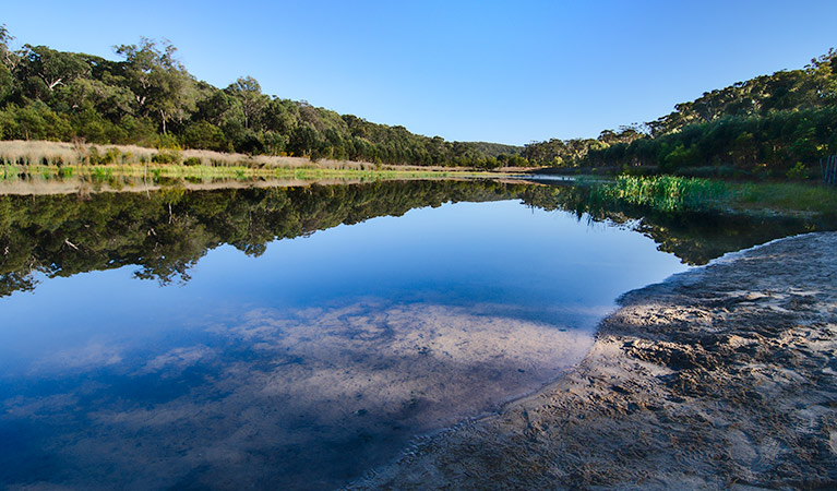 Lake reflection, Thirlmere Lakes National Park. Photo: John Spencer