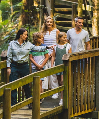 A guide takes a family through Copeland Tops State Conservation Area, Barrington Tops. Credit: Destination NSW &copy; Credit: Destination NSW