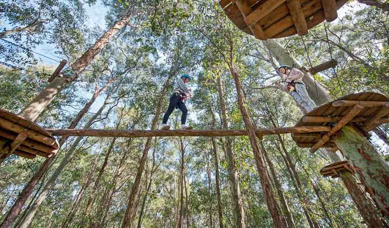 Activities at Tree Top Adventure, Blue Gum Hills Regional Park. Photo: Tree Top Adventure Park