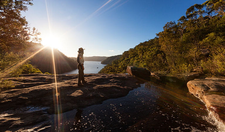 A ranger looks out over America Bay, Ku-ring-gai Chase National Park. Photo: David Finnegan &copy; DPE
