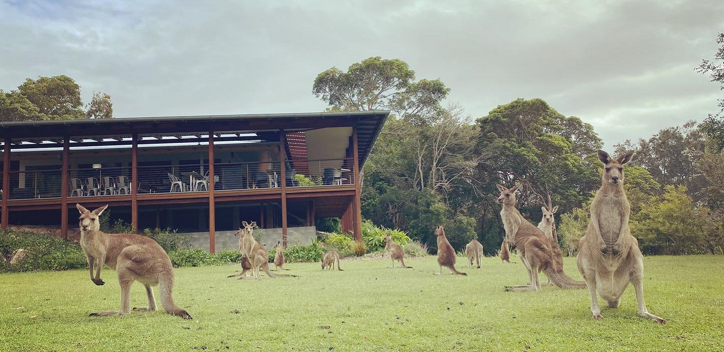Trial Bay Kiosk, Arakoon National Park. Photo: Adrian Molnar