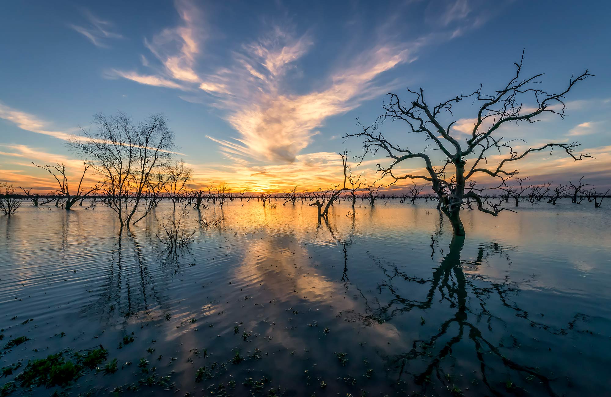 Kinchega National Park. Photo: John Spencer