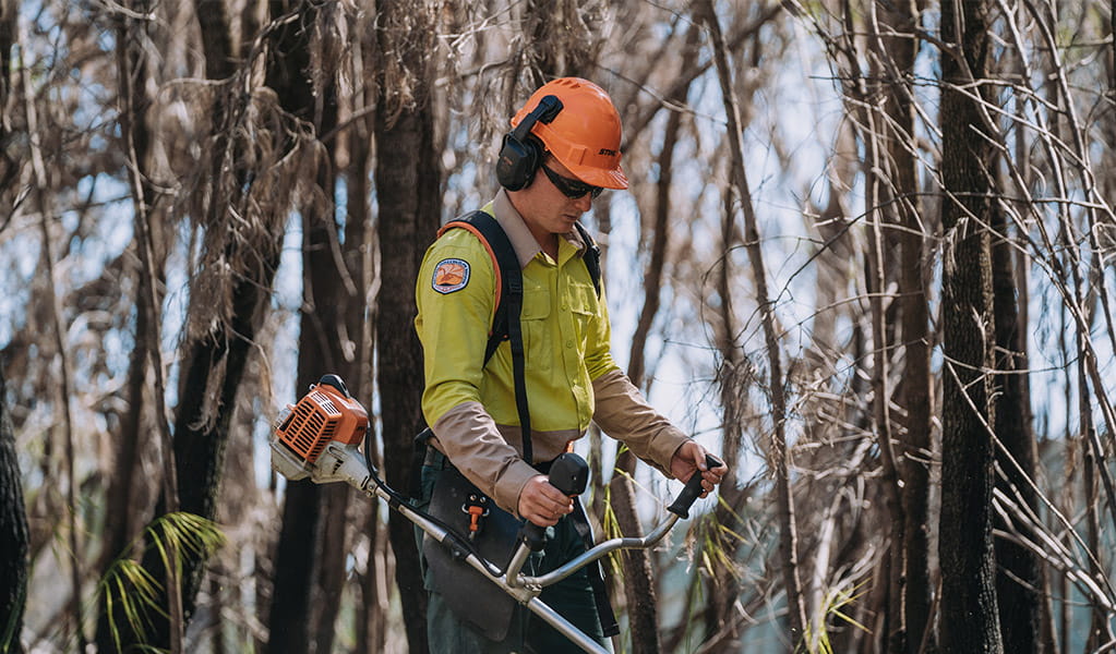 NPWS field officer working in the field. Credit: Remy Brand &copy; DPE