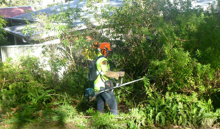 A field officer maintaining an Asset Protection Zone adjoining properties in Bundeena, Royal National Park. Photo: David Croft/DPIE