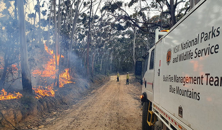 NPWS fire management staff respond to bushfire near Ruined Castle in Blue Mountains National Park. Photo: Tim Johnson/DPIE