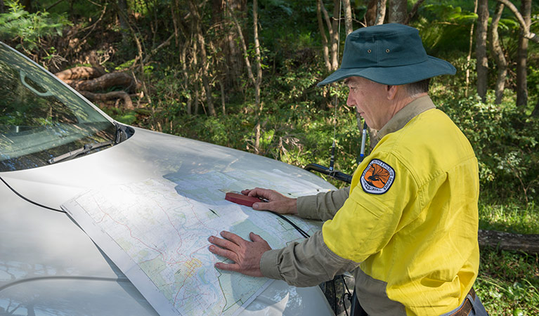 A ranger conducting a map survey, Tomaree National Park. Photo: John Spencer/DPIE