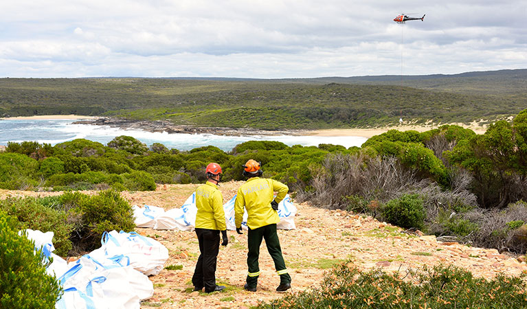 NPWS staff working on an upgrade of The Coast track in Royal National Park. Photo: David Croft/DPIE