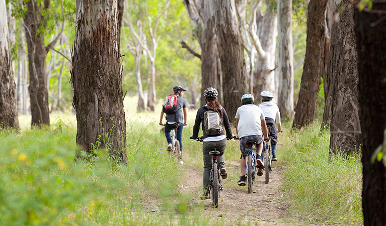 Bike riding in Murray Valley National Park. Photo: David Finnegan