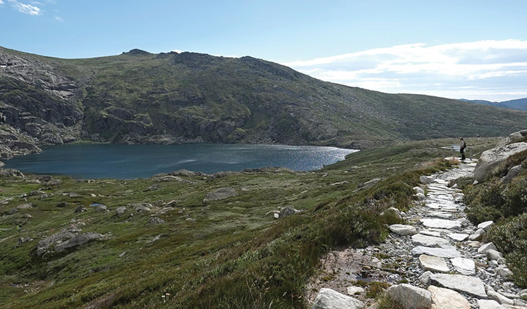 View of Blue Lake from Main Range walk in Kosciuszko National Park.  Credit: E.Sheargold &copy;  E.Sheargold/DPIE